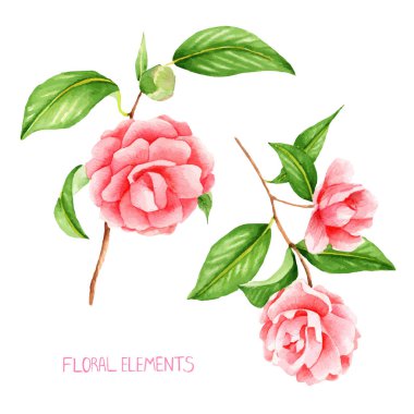 çiçekler, kamelya, el yapımı, renkli çiçek toplama suluboya çiçek kök ile