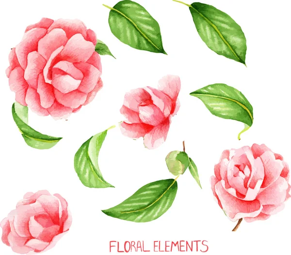 Camélia, artesanal, coleção floral colorido com aquarela, flores, flor com caule, Conjunto de elementos florais para suas composições —  Vetores de Stock