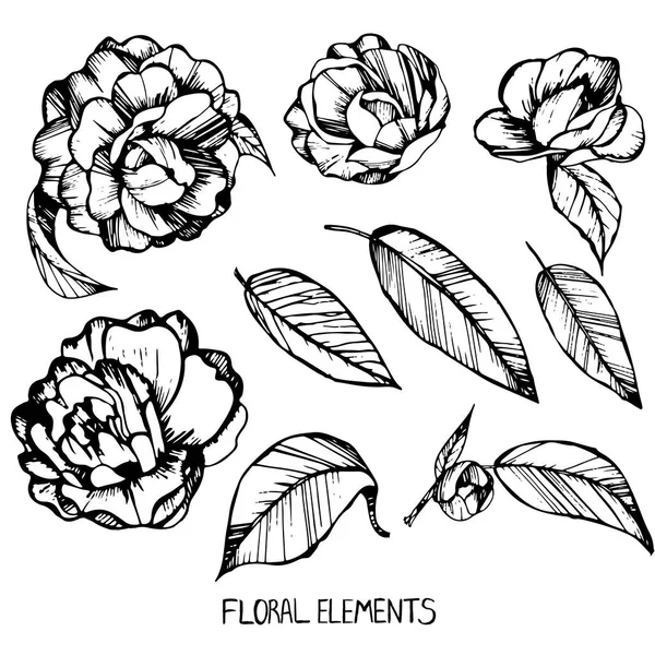 Camellia, ink, pen capillary, handmade, coloring books for children and adults, leaves, flowers, buds, Set of floral elements for your compositions, flower collection, black and white — стоковый вектор
