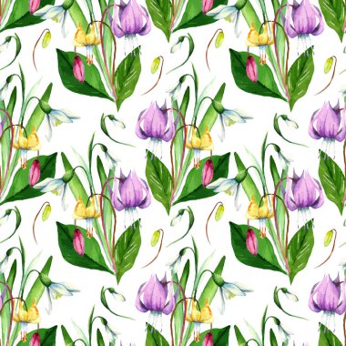 Kardelen, Erythronium, suluboya çiçek kümesi.