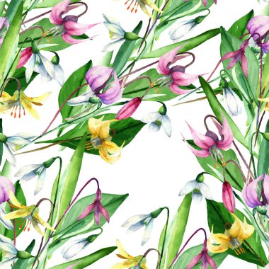 Kardelen, Erythronium, suluboya çiçek kümesi.