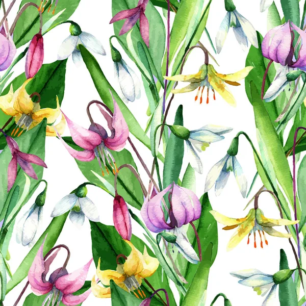 Kardelen, Erythronium, suluboya çiçek kümesi.