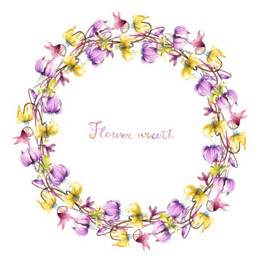 Erythronium, suluboya çiçek kümesi.