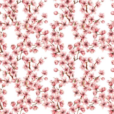 Suluboya kiraz çiçeği kartı 