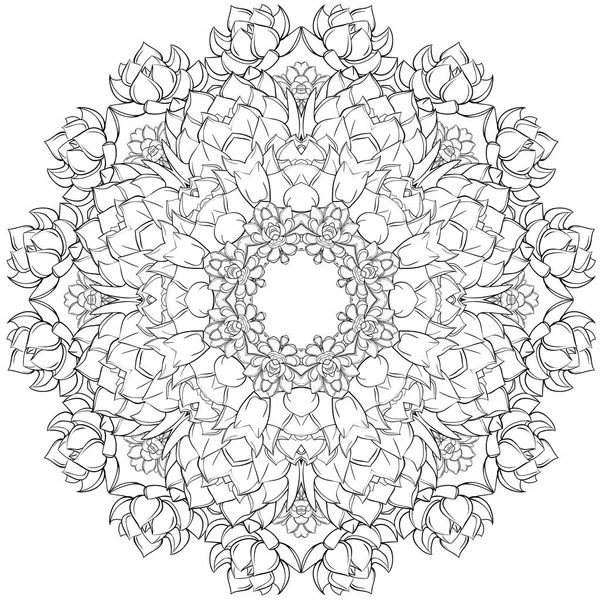 Mandala, suculentas. patrón circular — Vector de stock
