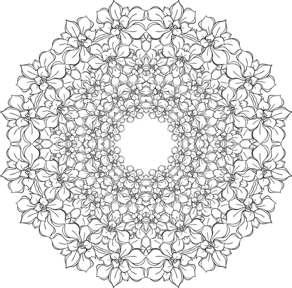 Mandala, suckulenter. cirkulärt mönster — Stock vektor