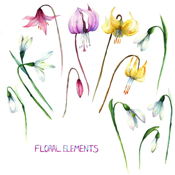 Erythronium, handgjorda, blommig samling — Stock vektor