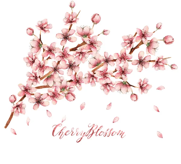 Ilustração flor de cerejeira —  Vetores de Stock
