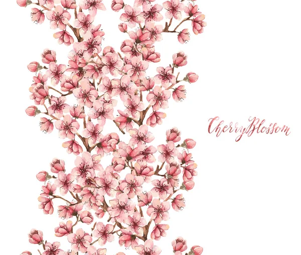 Suluboya kiraz çiçeği kartı — Stok Vektör