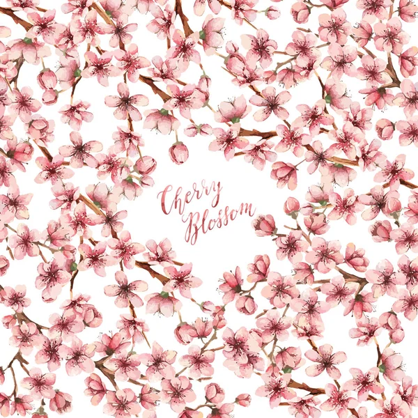 Akvarell Cherry blossom kártya — Stock Vector