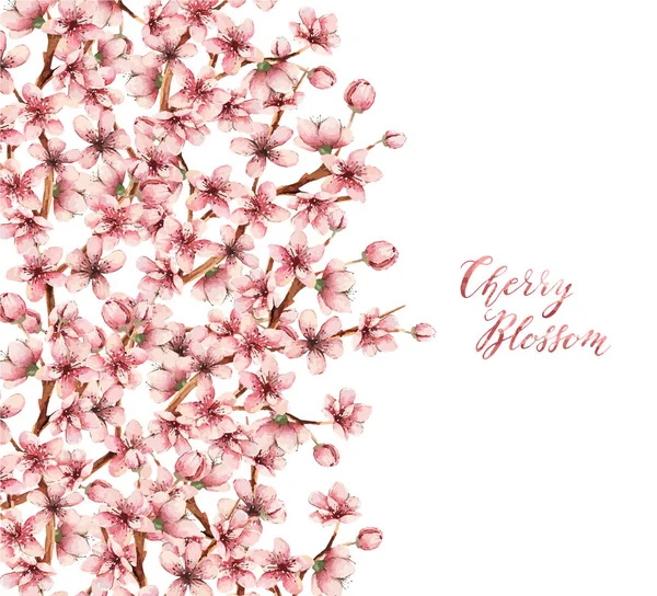 Akvarell Cherry blossom kártya — Stock Vector