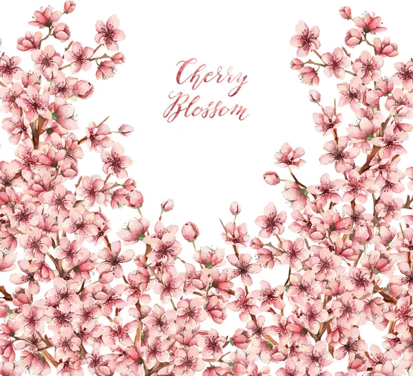 Tarjeta de flor de cerezo acuarela — Vector de stock