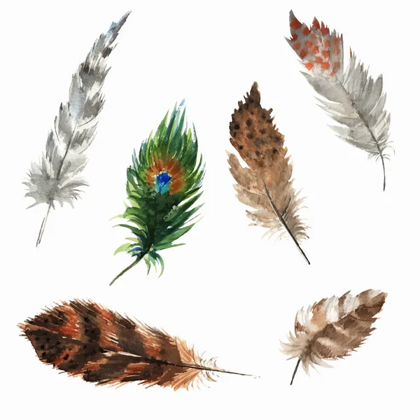 波西米亚风格羽毛 — 图库矢量图片