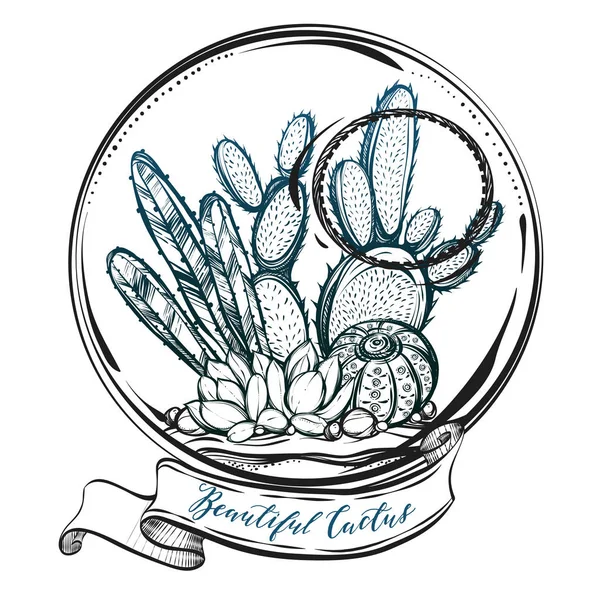 Beau cactus en terrarium — Image vectorielle
