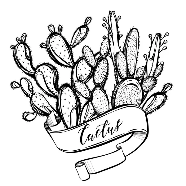 Ilustración. Hermosos cactus — Archivo Imágenes Vectoriales