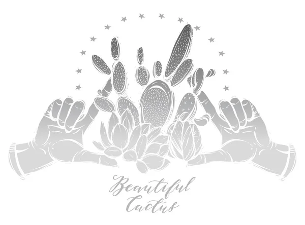 Hände und Kaktuspflanzen. — Stockvektor