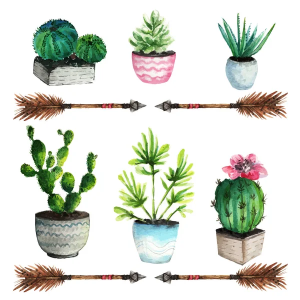 Ilustracja. Piękne kaktusy — Wektor stockowy