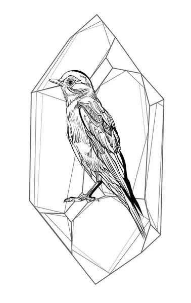 Gedetailleerde tekening van vogels — Stockvector