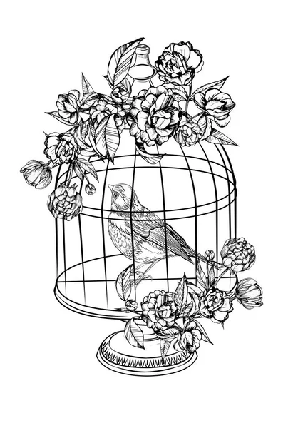 Dibujo detallado de aves — Archivo Imágenes Vectoriales