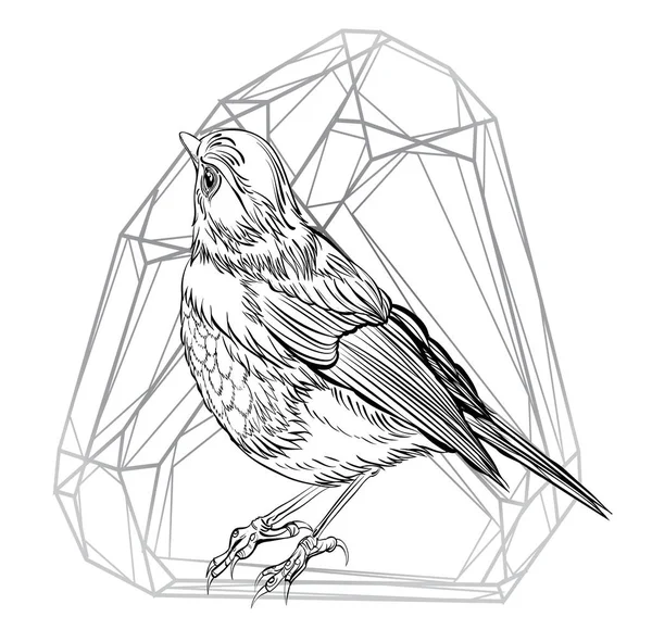 Dibujo detallado de aves — Vector de stock