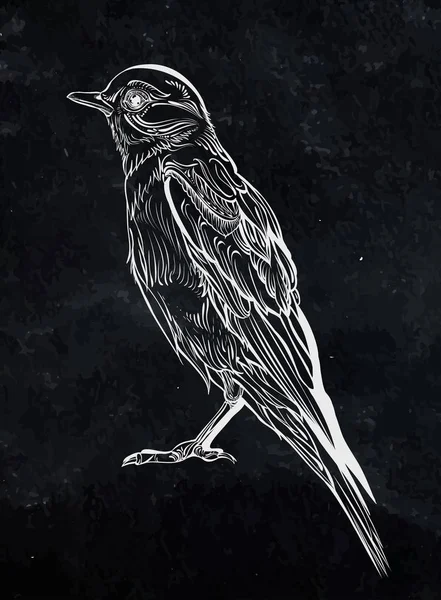 鳥の詳細な図面 — ストックベクタ