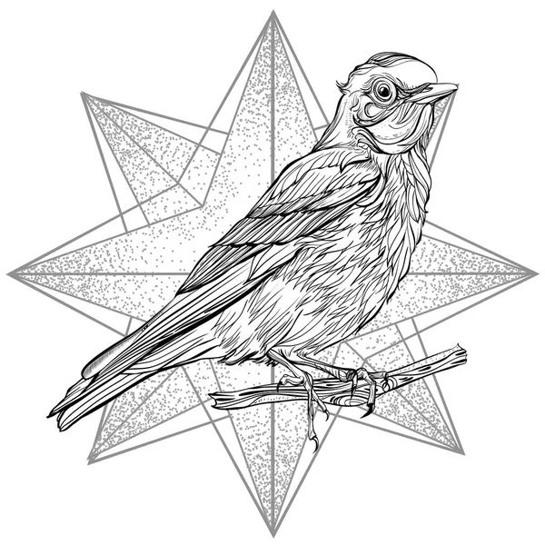 Dibujo detallado de aves — Vector de stock