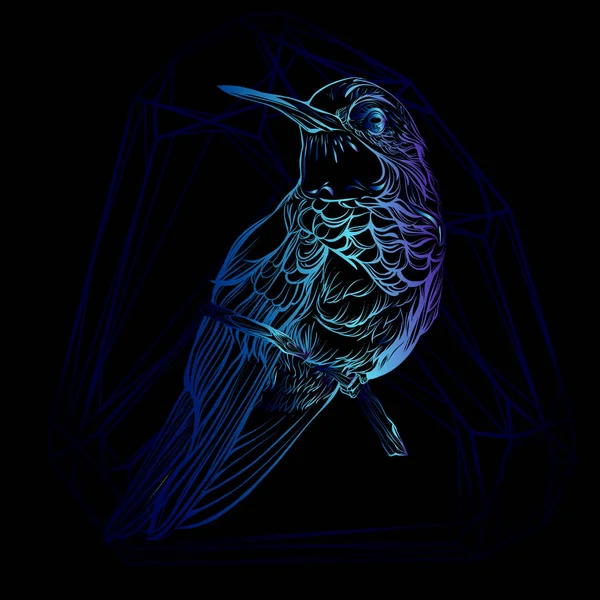 Detaillierte Zeichnung des Vogels — Stockvektor