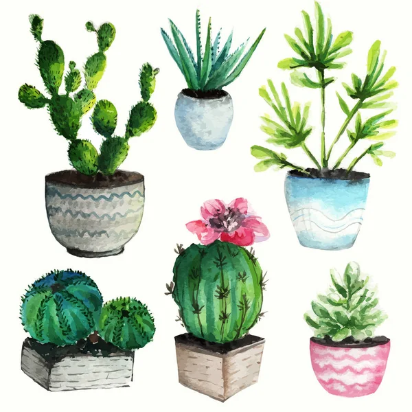 Aquarel cactussen in bloempotten — Stockvector