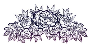  Güzel Peonies illüstrasyon.