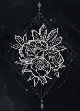 Güzel Peonies illüstrasyon