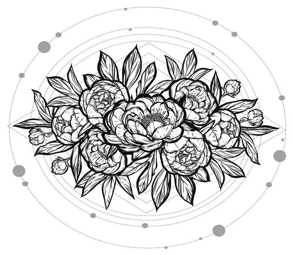  Güzel Peonies illüstrasyon.