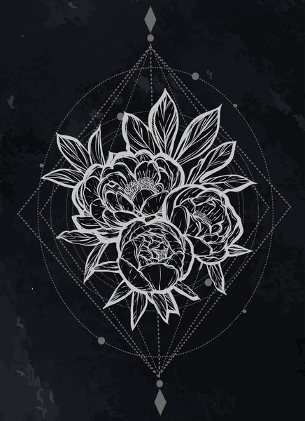 Güzel Peonies illüstrasyon