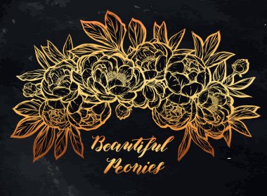 Güzel Peonies illüstrasyon