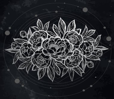  Güzel Peonies illüstrasyon.