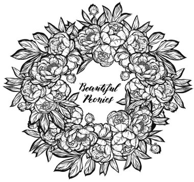 Güzel Peonies illüstrasyon