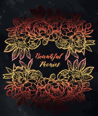 Güzel Peonies illüstrasyon