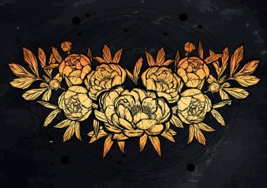  Güzel Peonies illüstrasyon.