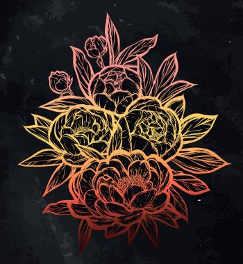  Güzel Peonies illüstrasyon.