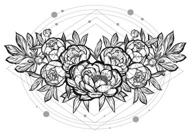  Güzel Peonies illüstrasyon.