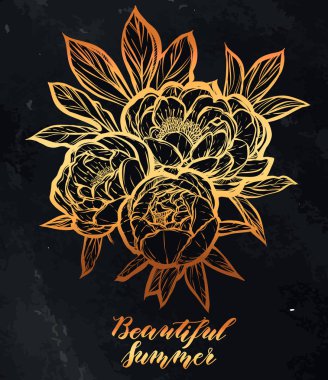 Güzel Peonies illüstrasyon