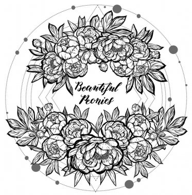 Güzel Peonies illüstrasyon