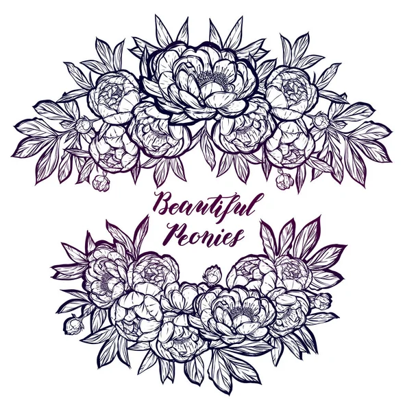 Güzel Peonies illüstrasyon