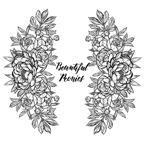 Güzel Peonies illüstrasyon