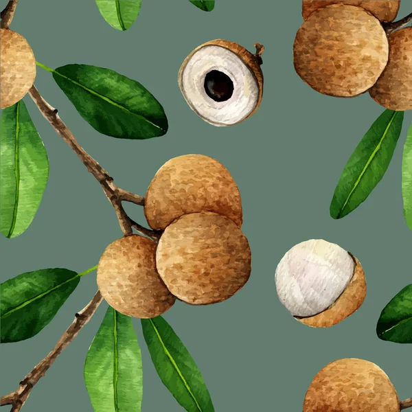 Aquarell Illustration tropische Früchte — Stockvektor
