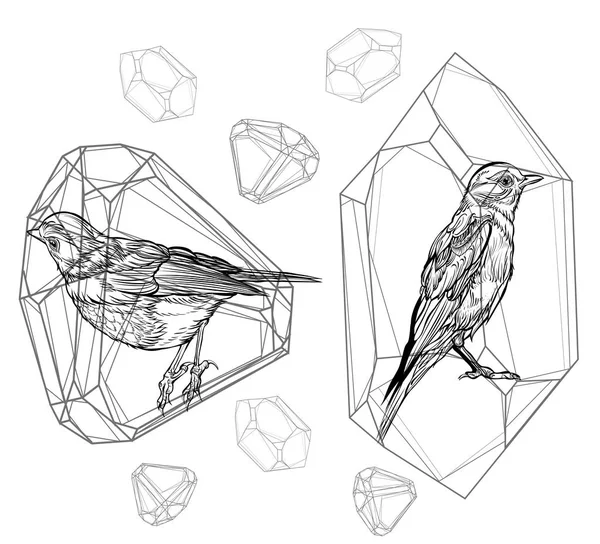 Aves en una ilustración de cristal aisladas — Vector de stock