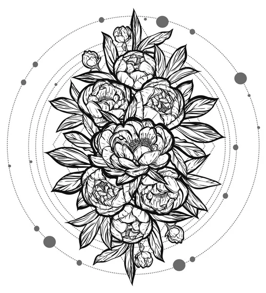  Güzel Peonies illüstrasyon.