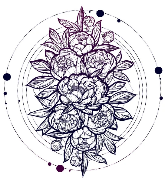  Güzel Peonies illüstrasyon.