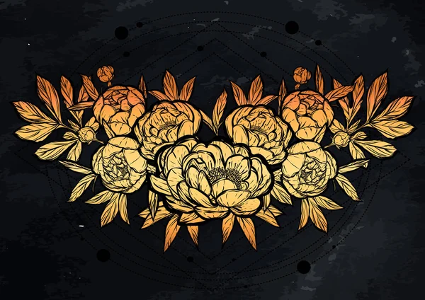  Güzel Peonies illüstrasyon.