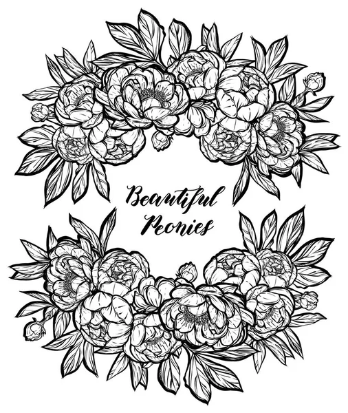 Belle illustration pivoines — Image vectorielle