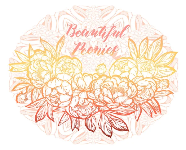 Güzel Peonies illüstrasyon